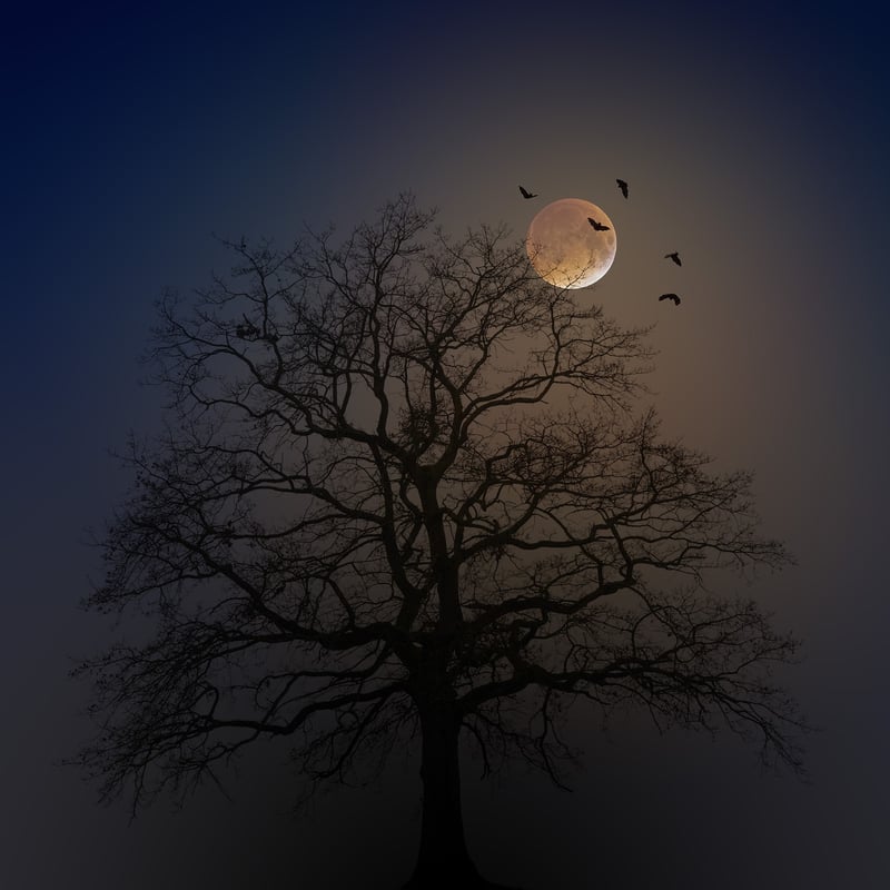 Eerie Atmosphere